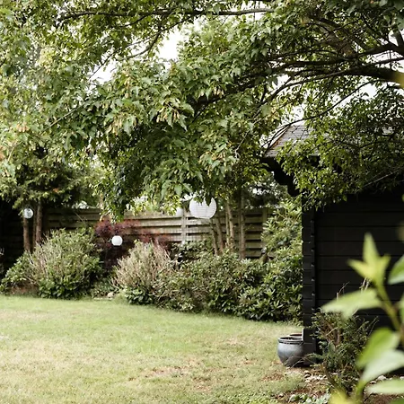 A-frame House With In The Backyard *