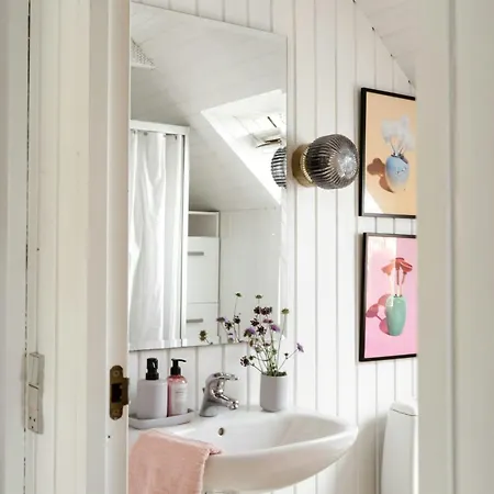 A-frame House With In The Backyard Odder