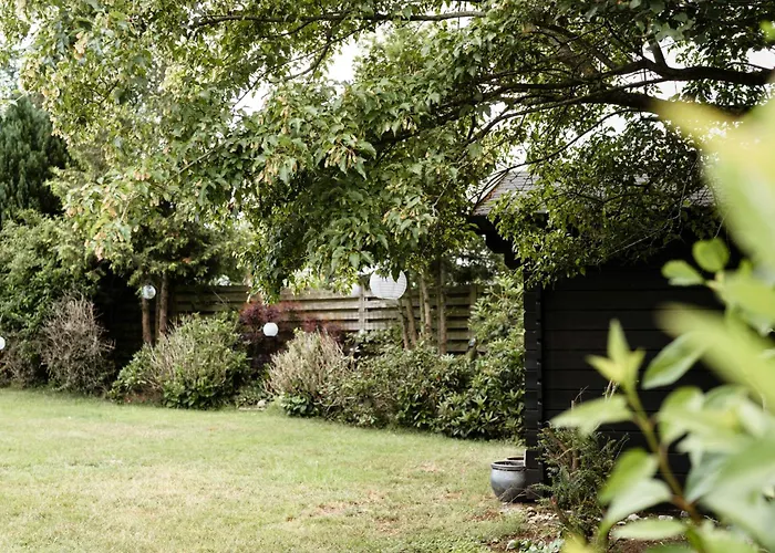 A-frame House With In The Backyard *